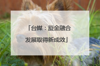 台媒：厦金融合发展取得新成效