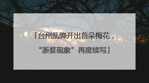 台州乱弹开出首朵梅花，“浙婺现象”再度续写