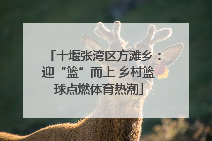 十堰张湾区方滩乡：迎“篮”而上 乡村篮球点燃体育热潮