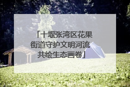 十堰张湾区花果街道守护文明河流 共绘生态画卷