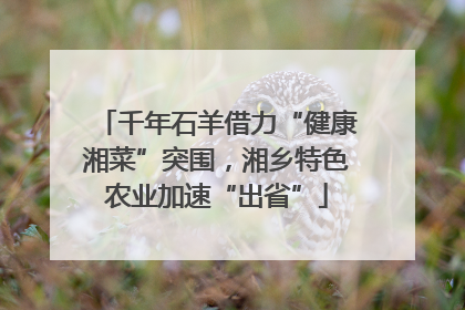 千年石羊借力“健康湘菜”突围，湘乡特色农业加速“出省”