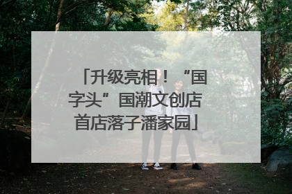 升级亮相！“国字头”国潮文创店首店落子潘家园