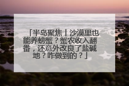 半岛聚焦丨沙漠里也能养螃蟹？蟹农收入翻番，还意外改良了盐碱地？咋做到的？