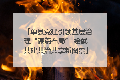 单县党建引领基层治理“谋篇布局” 绘就共建共治共享新图景