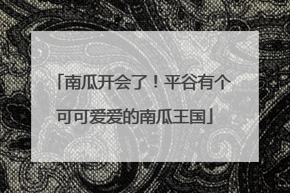 南瓜开会了！平谷有个可可爱爱的南瓜王国