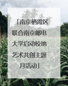 南京栖霞区联合南京邮电大学启动校地艺术共创主题月活动