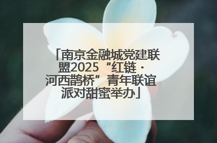 南京金融城党建联盟2025“红链・河西鹊桥”青年联谊派对甜蜜举办