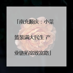 南充顺庆：小菜篮装满大民生 产业链拓宽致富路