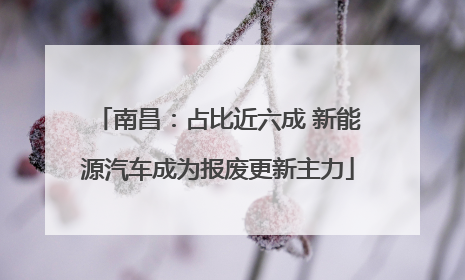 南昌：占比近六成 新能源汽车成为报废更新主力