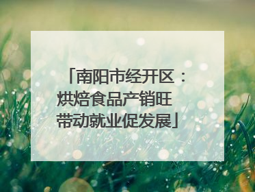 南阳市经开区：烘焙食品产销旺 带动就业促发展