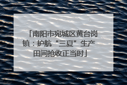 南阳市宛城区黄台岗镇：护航“三夏”生产 田间抢收正当时