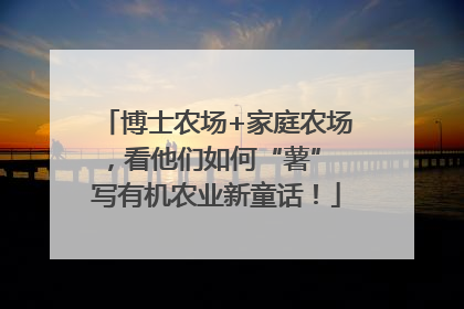 博士农场+家庭农场，看他们如何“薯” 写有机农业新童话！