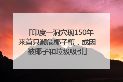 印度一洞穴现150年来首只濒危椰子蟹，或因被椰子和垃圾吸引