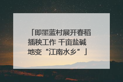 即墨蓝村展开春稻插秧工作 千亩盐碱地变“江南水乡”