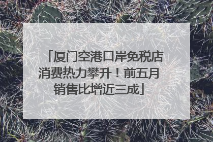 厦门空港口岸免税店消费热力攀升！前五月销售比增近三成