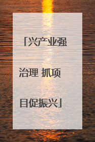 兴产业强治理 抓项目促振兴
