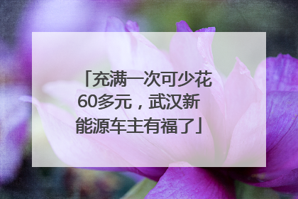 充满一次可少花60多元，武汉新能源车主有福了