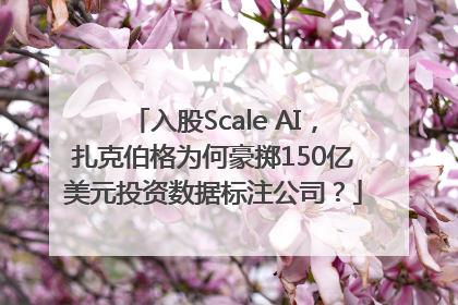 入股Scale AI，扎克伯格为何豪掷150亿美元投资数据标注公司？