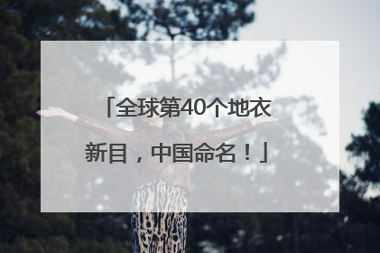 全球第40个地衣新目，中国命名！