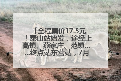 全程票价17.5元！泰山站始发，途经上高镇、燕家庄、范镇……终点站东营站，7月1日开通！