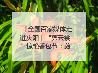 全国百家媒体走进庆阳｜“剪云裳”惊艳香包节：剪纸跃上华服 非遗焕发新彩