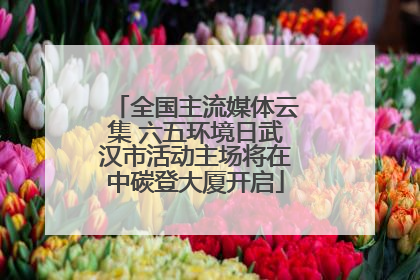 全国主流媒体云集 六五环境日武汉市活动主场将在中碳登大厦开启