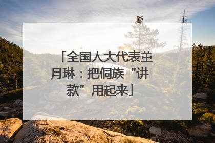 全国人大代表董月琳：把侗族“讲款”用起来