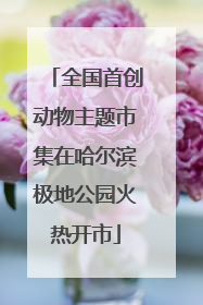 全国首创动物主题市集在哈尔滨极地公园火热开市