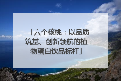 六个核桃：以品质筑基、创新领航的植物蛋白饮品标杆