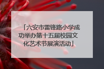 六安市雷锋路小学成功举办第十五届校园文化艺术节展演活动