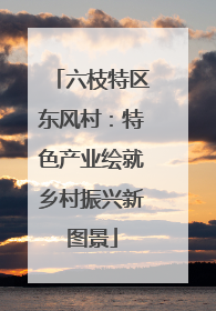 六枝特区东风村：特色产业绘就乡村振兴新图景