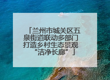 兰州市城关区五泉街道联动多部门打造乡村生态景观“洁净长廊”