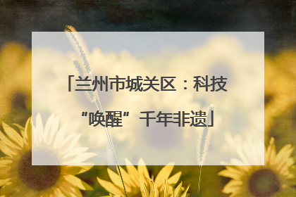 兰州市城关区：科技“唤醒”千年非遗