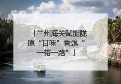 兰州海关赋能陇原“甘味”香飘“一带一路”