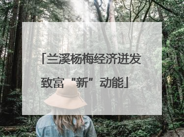 兰溪杨梅经济迸发致富“新”动能