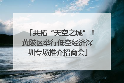 共拓“天空之城”！黄陂区举行低空经济深圳专场推介招商会