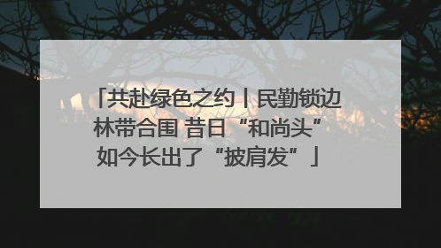 共赴绿色之约丨民勤锁边林带合围 昔日“和尚头”如今长出了“披肩发”