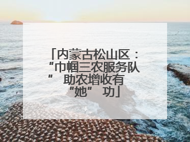 内蒙古松山区：“巾帼三农服务队” 助农增收有 “她” 功