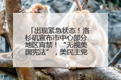出现紧急状态！洛杉矶宣布市中心部分地区宵禁！“无视美国宪法”，美民主党议员批评特朗普