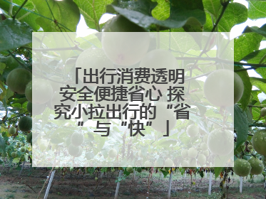 出行消费透明 安全便捷省心 探究小拉出行的“省”与“快”