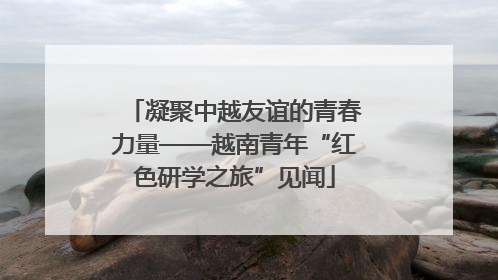 凝聚中越友谊的青春力量——越南青年“红色研学之旅”见闻