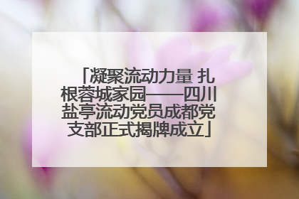 凝聚流动力量 扎根蓉城家园——四川盐亭流动党员成都党支部正式揭牌成立