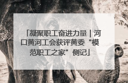 凝聚职工奋进力量｜河口黄河工会获评黄委“模范职工之家”侧记