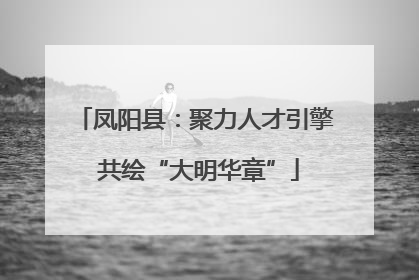 凤阳县：聚力人才引擎 共绘“大明华章”