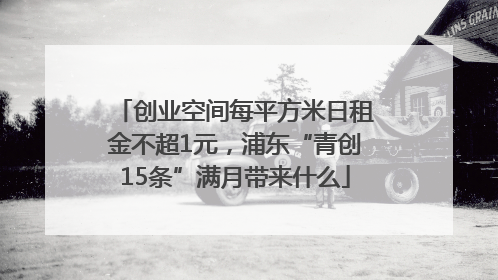 创业空间每平方米日租金不超1元，浦东“青创15条”满月带来什么