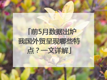 前5月数据出炉 我国外贸呈现哪些特点？一文详解