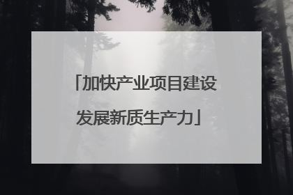 加快产业项目建设 发展新质生产力
