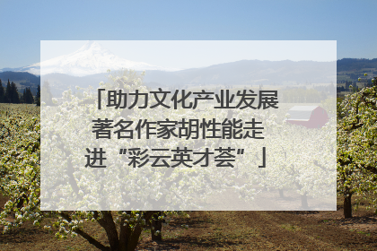 助力文化产业发展 著名作家胡性能走进“彩云英才荟”