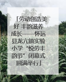 劳动创造美好 丰韵滋养成长——怀远县龙亢镇实验小学“悦劳丰韵节”闭幕式圆满举行