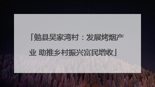 勉县吴家湾村：发展烤烟产业 助推乡村振兴富民增收
